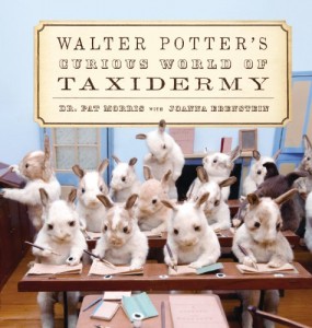 Walter Potter’s Curious World of Taxidermy