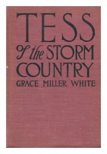 Tess of the Storm Country / Grace Miller White ; Illustrations by Howard Chandler Christy