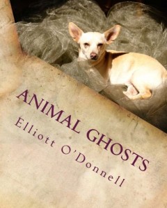 Animal Ghosts: Animal Hauntings and the Hereafter (Animal Ghost Stories)