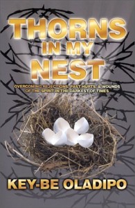 Thorns In My Nest: Overcoming Rejections, Past Hurts and Wounds of the Spirit in the Darkest of Times