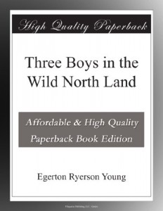 Three Boys in the Wild North Land