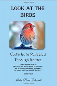Look at the Birds – God’s Love Revealed Through Nature
