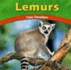 Lemurs: Tree Dwellers (Wild World of Animals (Bridgestone))