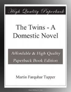 The Twins – A Domestic Novel