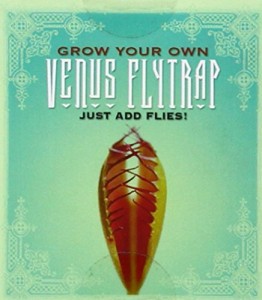 Grow Your Own Venus Fly Trap: Just Add Flies!