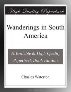 Wanderings in South America