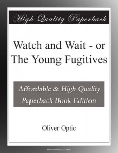 Watch and Wait – or The Young Fugitives
