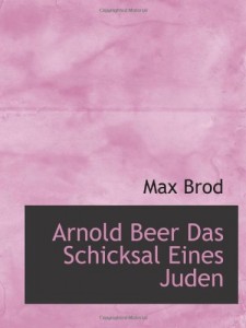 Arnold Beer Das Schicksal Eines Juden (German Edition)