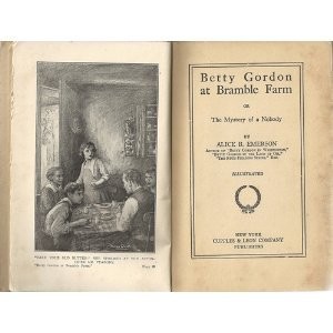 Betty Gordon at Bramble Farm or The Mystery of a Nobody