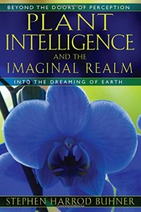 Plant Intelligence and the Imaginal Realm: Beyond the Doors of Perception into the Dreaming of Earth