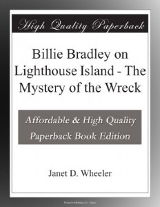 Billie Bradley on Lighthouse Island – The Mystery of the Wreck