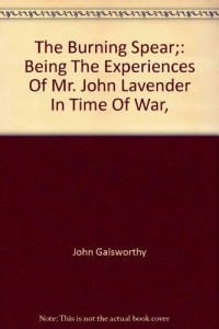 The Burning Spear: Being the Experiences of Mr. John Lavender in Time of War