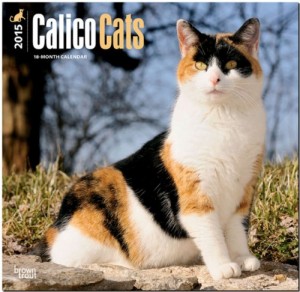 Calico Cats 2015 Square 12×12 (Multilingual Edition)